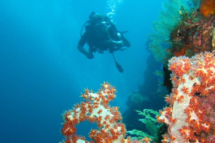 3-Day PADI Open Water Scuba Diving Certification Course in Bali image