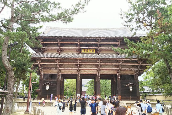 Nara Early Bird Tour image