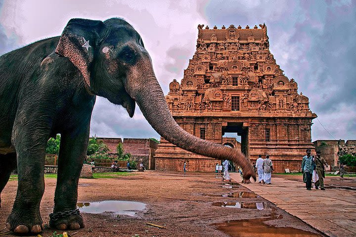 14-Days Classical South India trip from Chennai by Wonder tours image