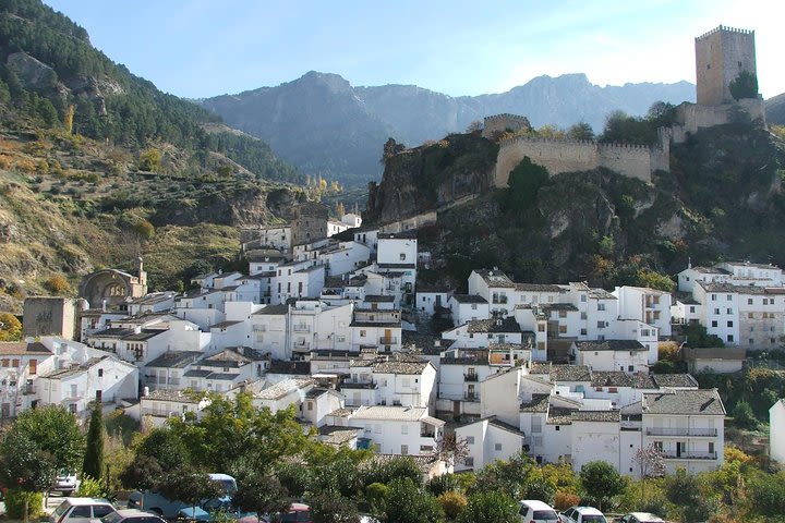 White Villages and Ronda from Seville: Full Day Private Tour image