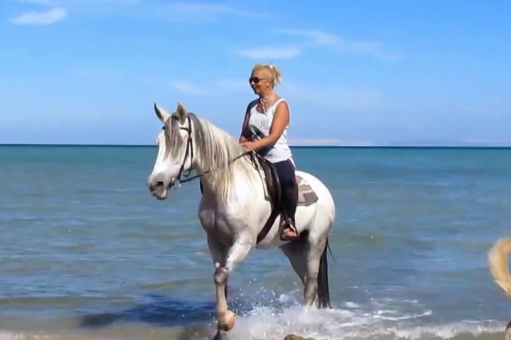 Two hours Horse Riding At Amazing Desert and Sea - Hurghada image