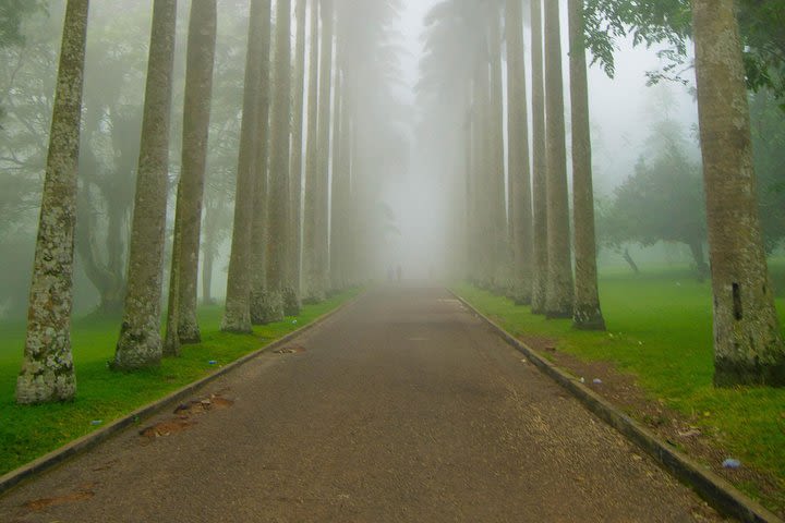 Escape Accra City to Aburi Gardens and Tetteh Quarshie Cocoa Farms image