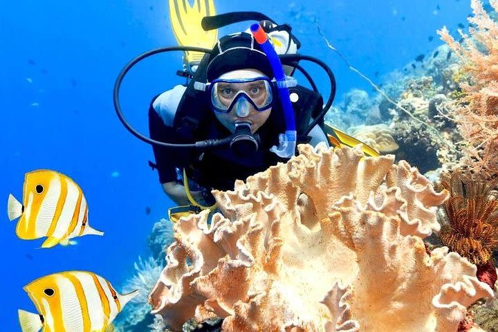 Hurghada: 6-Hour Dive Trip with Two Dive Sites image