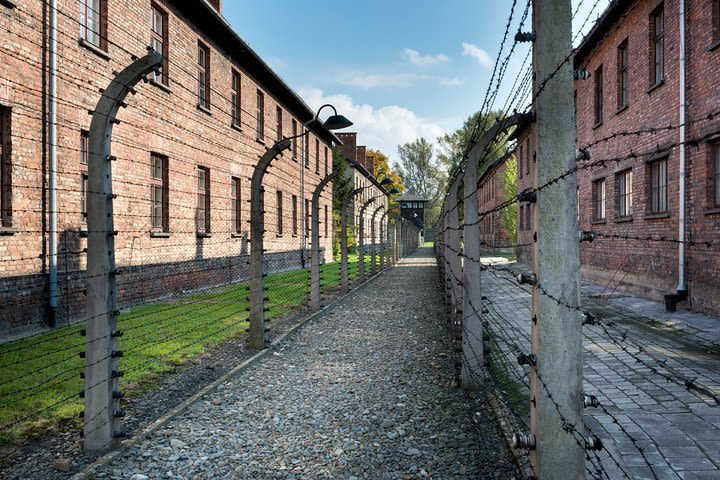 From Krakow: Auschwitz-Birkenau Memorial and Museum Guided Tour image