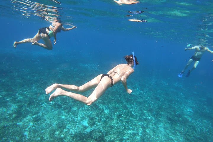 Snorkel Experience in Cozumel image