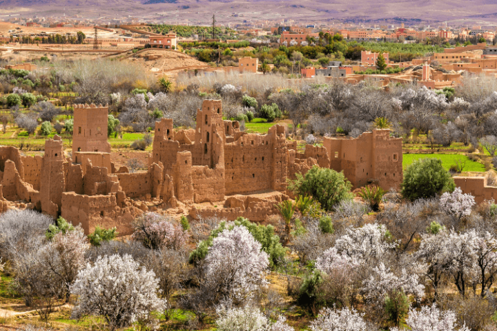 Marrakech to Dades & Roses Valley: 3-Day Trip. image