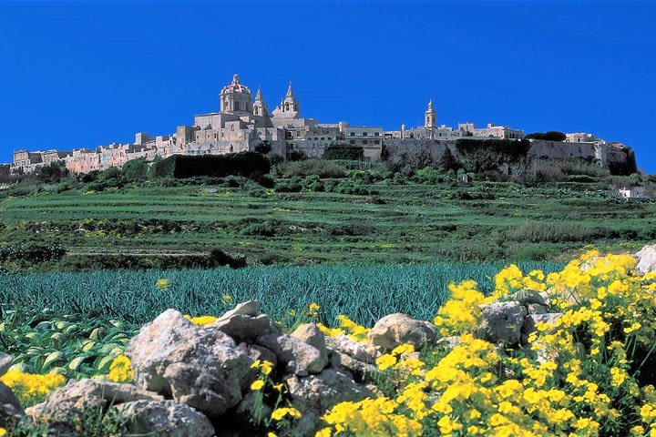 Private guided Malta tour with a professional guide and transport image