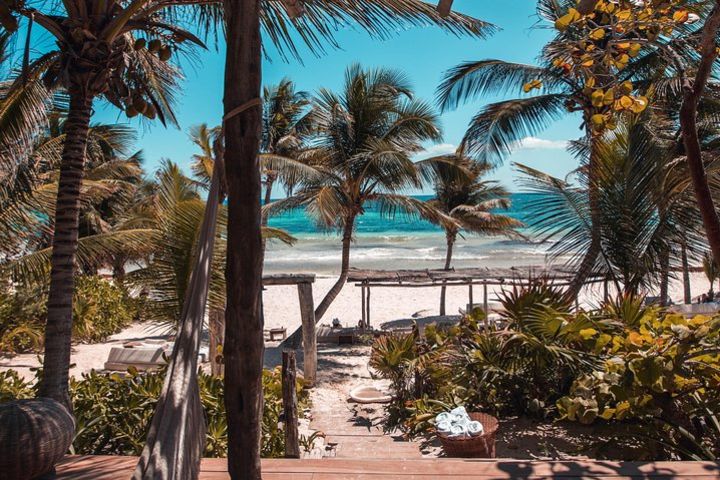 The Best of Tulum Walking Tour image