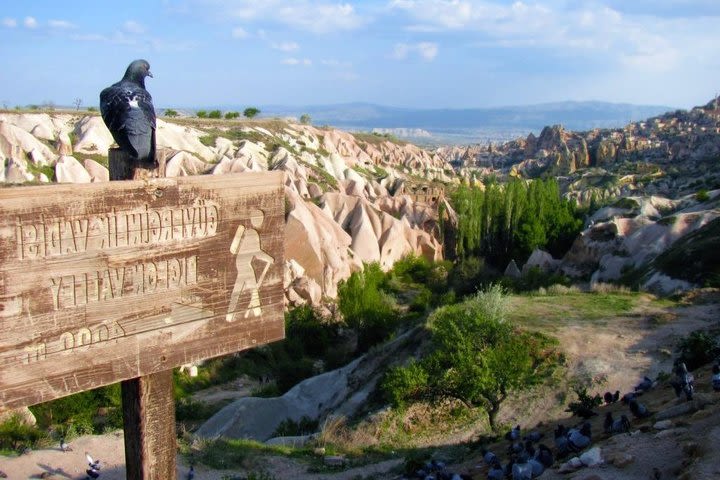 Double Tour North Cappadocia / South Cappadocia image