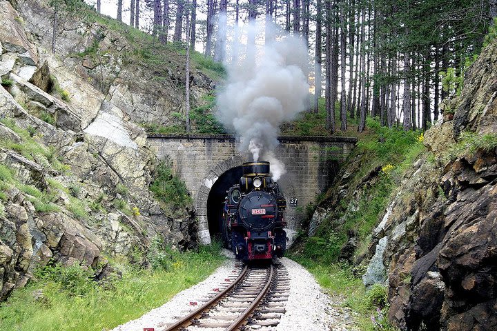  Mokra Gora, Shargan Eight train and Bajina Basta Day Trip from Belgrade  image