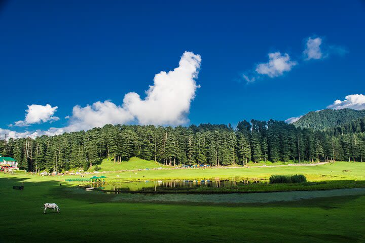 Himachal Tour Package image