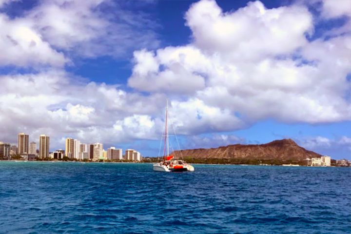 Fun In The Sun Sailing (Waikiki) image