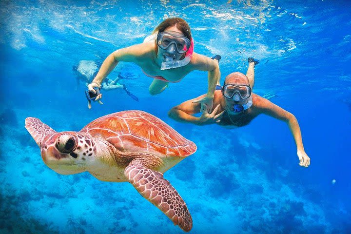 Snorkeling at Hikkaduwa image