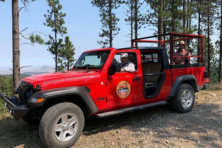 Standard Jeep Bison Safari at Custer State Park -  image