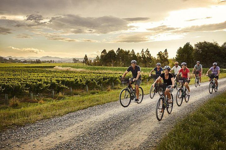 Self-Guided Biking Wine Tour (full day) in the Marlborough Region. image