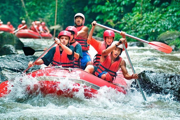 Bali Rafting and Tegalalang Kintamani Tour image