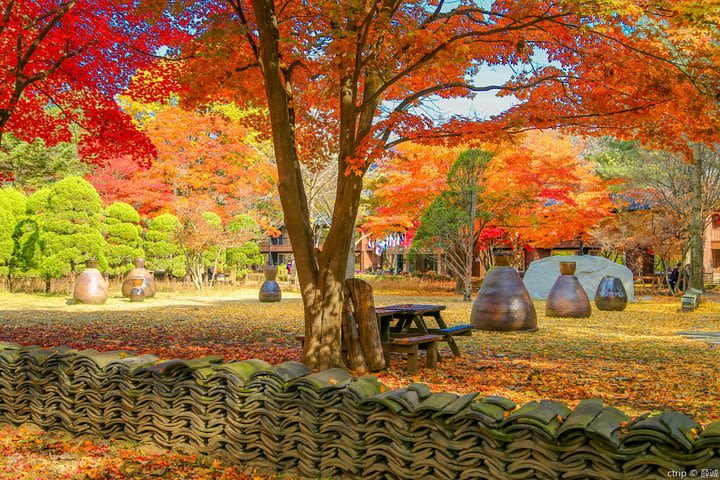 Private trip to Nami Island, the Garden of Morning Calm image