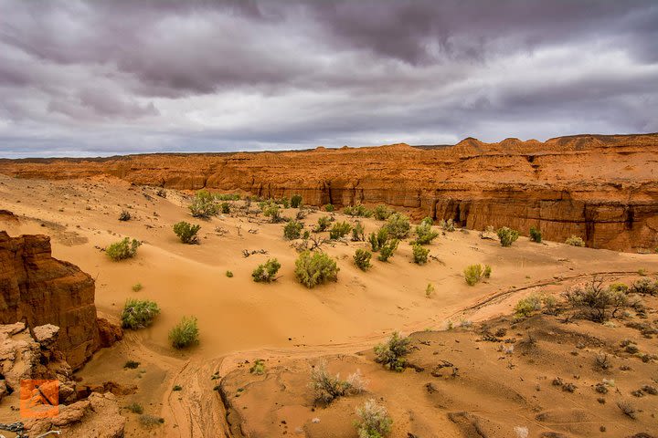 Gobi Desert Multi Day Tour  image