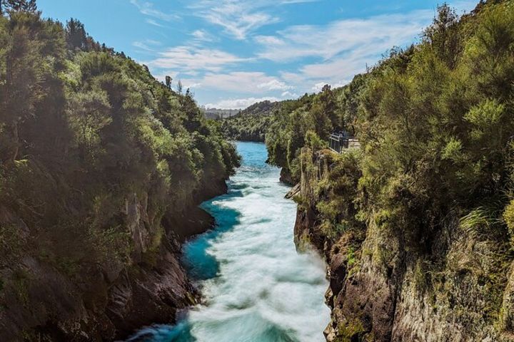 Rotorua to Auckland Scenic Tour image