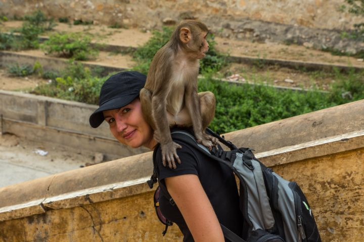 Jaipur Temples and Spiritual Sites Private Tour image