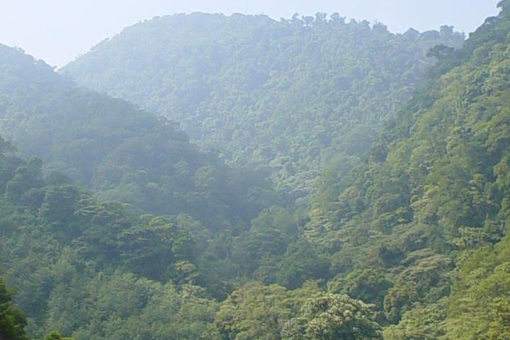 Cloud Forest Hike @ Water National Park : JUAN CASTRO BLANCO NATIONAL PARK image