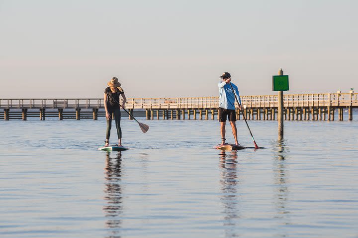 Stand Up Paddle Board Rental image