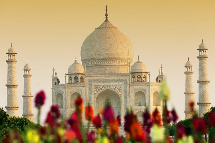 Half day tour of tajmahal inluding transport, lunch and entrances image