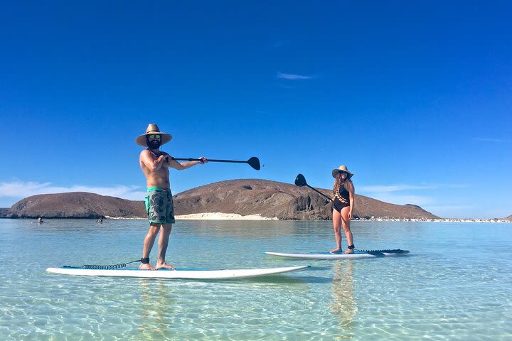 Espiritu Santo Island Combo: Sea Lions and Paddleboard 1 to 6 Private Group  image