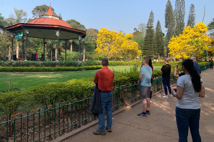 Cubbon Park - Private Walking tour image