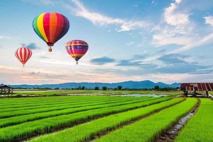 Chiang Rai: Guided Hot Air Balloon Sightseeing Tour  image