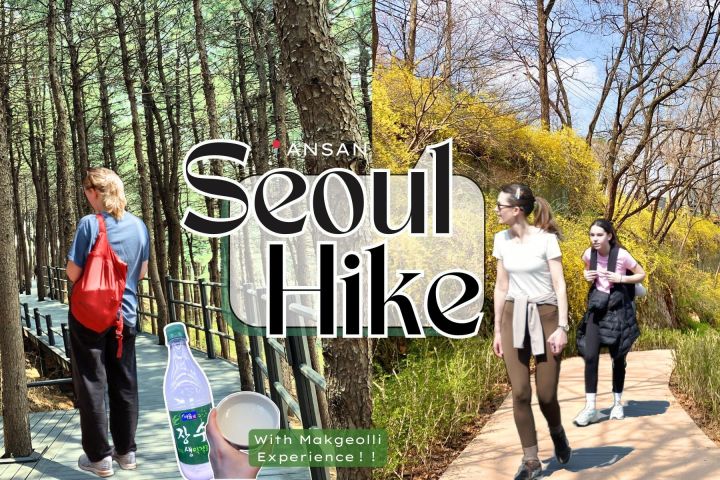 Ansan Jarak-gil Trail and Makgeolli Seoul Hike Experience image