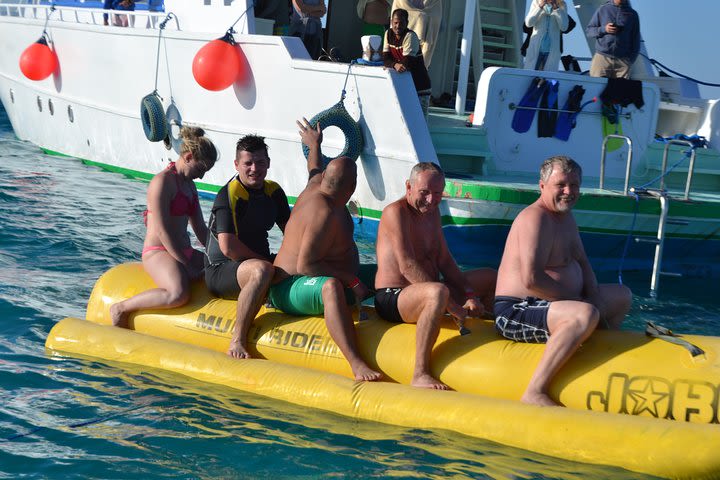 Swimming with Dolphins and Banana Boat Sea Trip Day Experience - Hurghada image