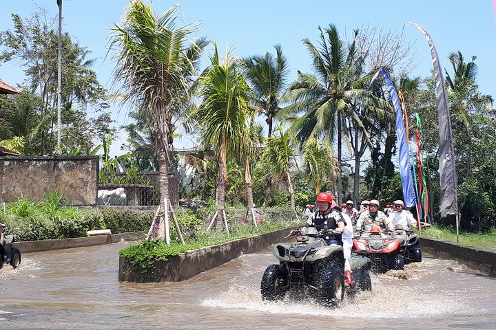 Best of Ubud Tour image