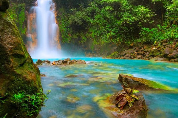 Private day tour to Rio Celeste all inclusive. image