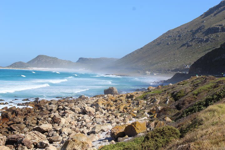 Full-Day Hermanus Whale Watching Tour from Cape Town image