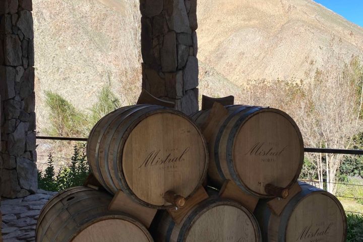 Tour Pisco Elqui Full Day image