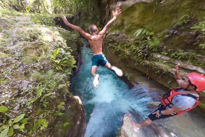 Oslob Whale shark swimming & Canyoneering Adventure, Kawasan Falls Day Tour image