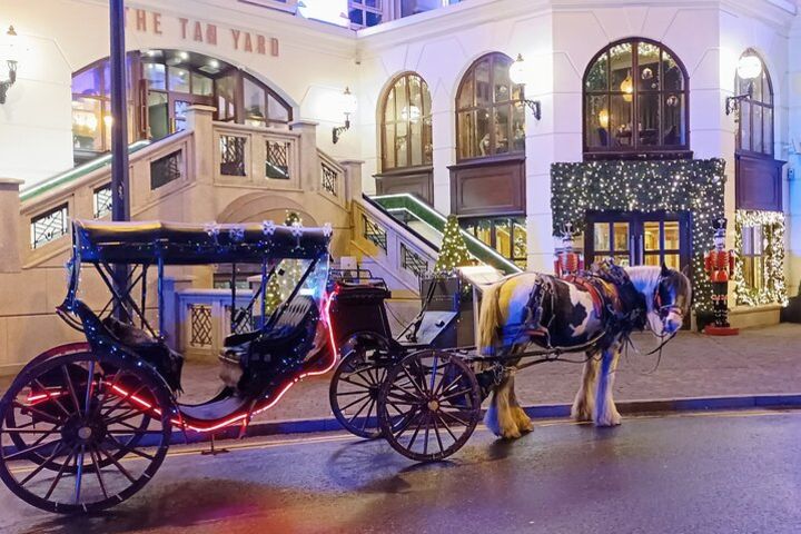 Killarney Sleigh Ride through the park! image