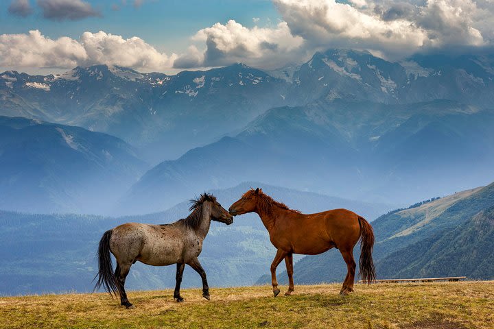 Trekking tour from Tusheti to Kazbegi with only two overnight stays in tents. image