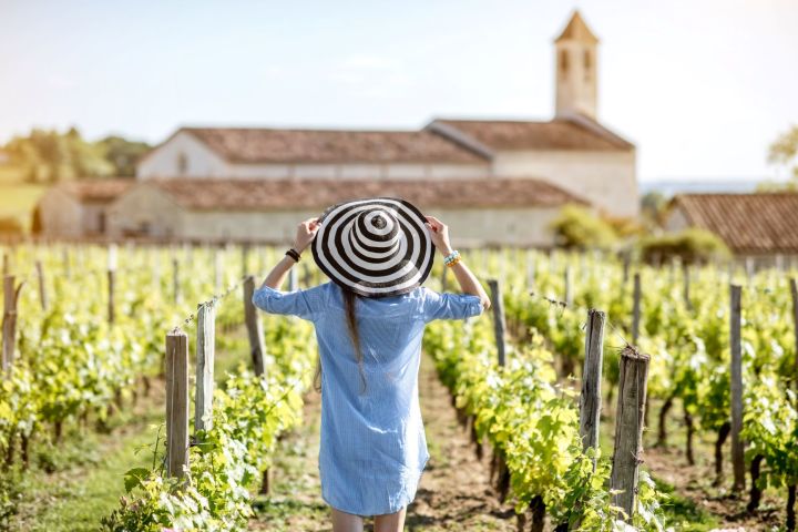 Saint Emilion Wine Tour from Saint Emilion (private) image