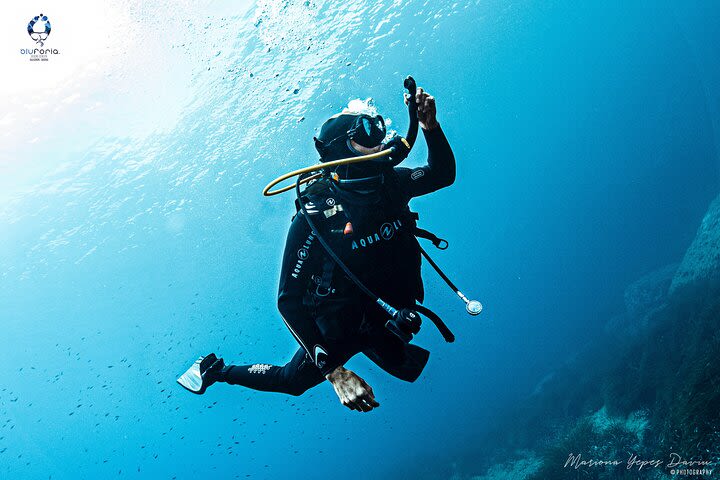 Scuba Diving Experience in Sardina image