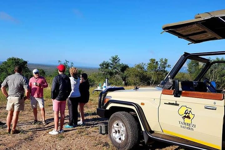 Morning Game Drives - Big 5 - Balule Nature Reserve Greater Kruger image