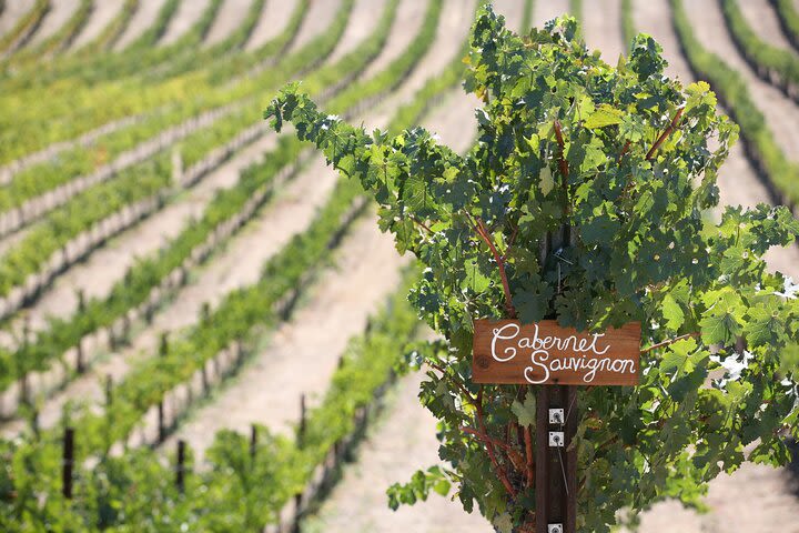 Private Wine Tour of Temecula from Escondido image