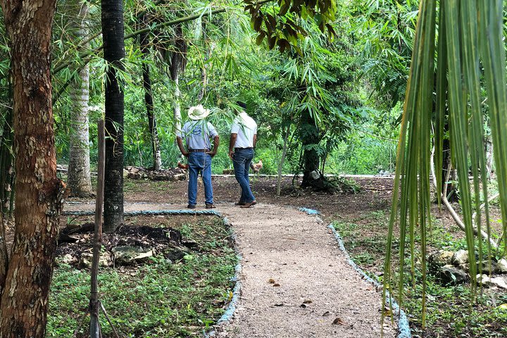 Cozumel Farm To Table Experience!!! image