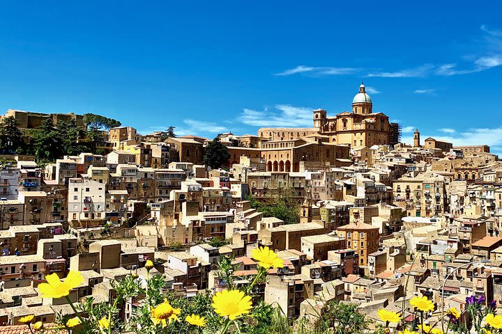 PIAZZA ARMERINA the Roman Villa - Exclusive Private Tour - starts from Palermo image
