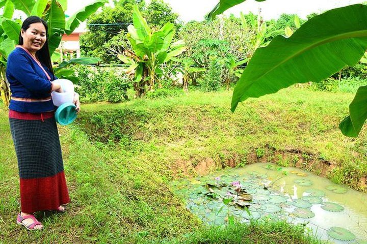 Private Cooking Class: Learn to Cook Northern Thai Food in Countryside Home image