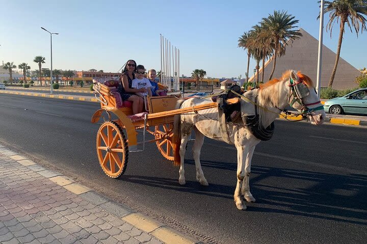 Horse Drawn Carriage 3 Hours with BBQ dinner at the Desert, transfer - Hurghada  image