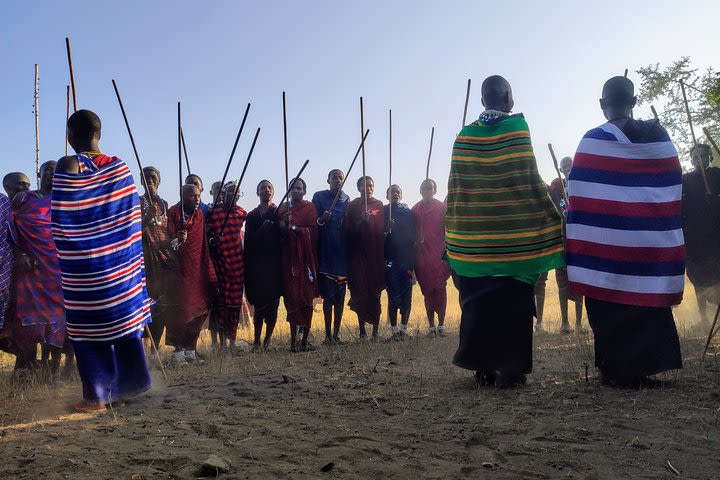 Private Full-Day Tour Maasai Village and Kikuletwa Hot Spring image