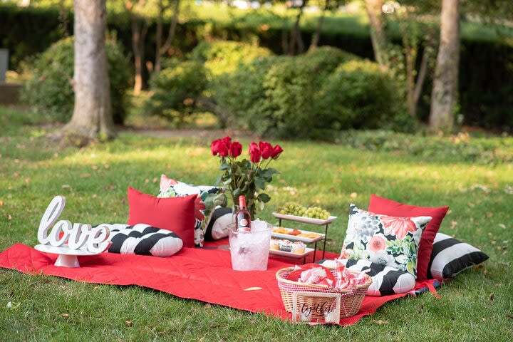 Private Picnic Experience in the Queen City image