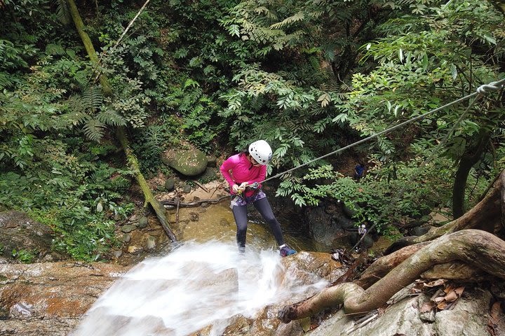 Jungle Trekking + Waterfall Abseiling image